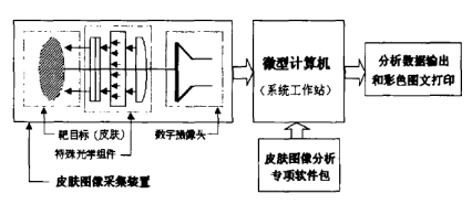 1739434201415285.jpg Image 2.jpg